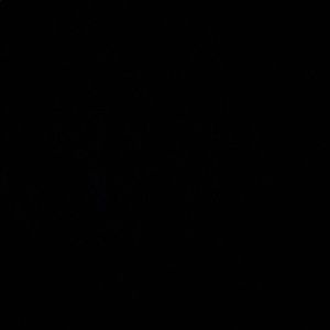 Meet your Posher, Hanna